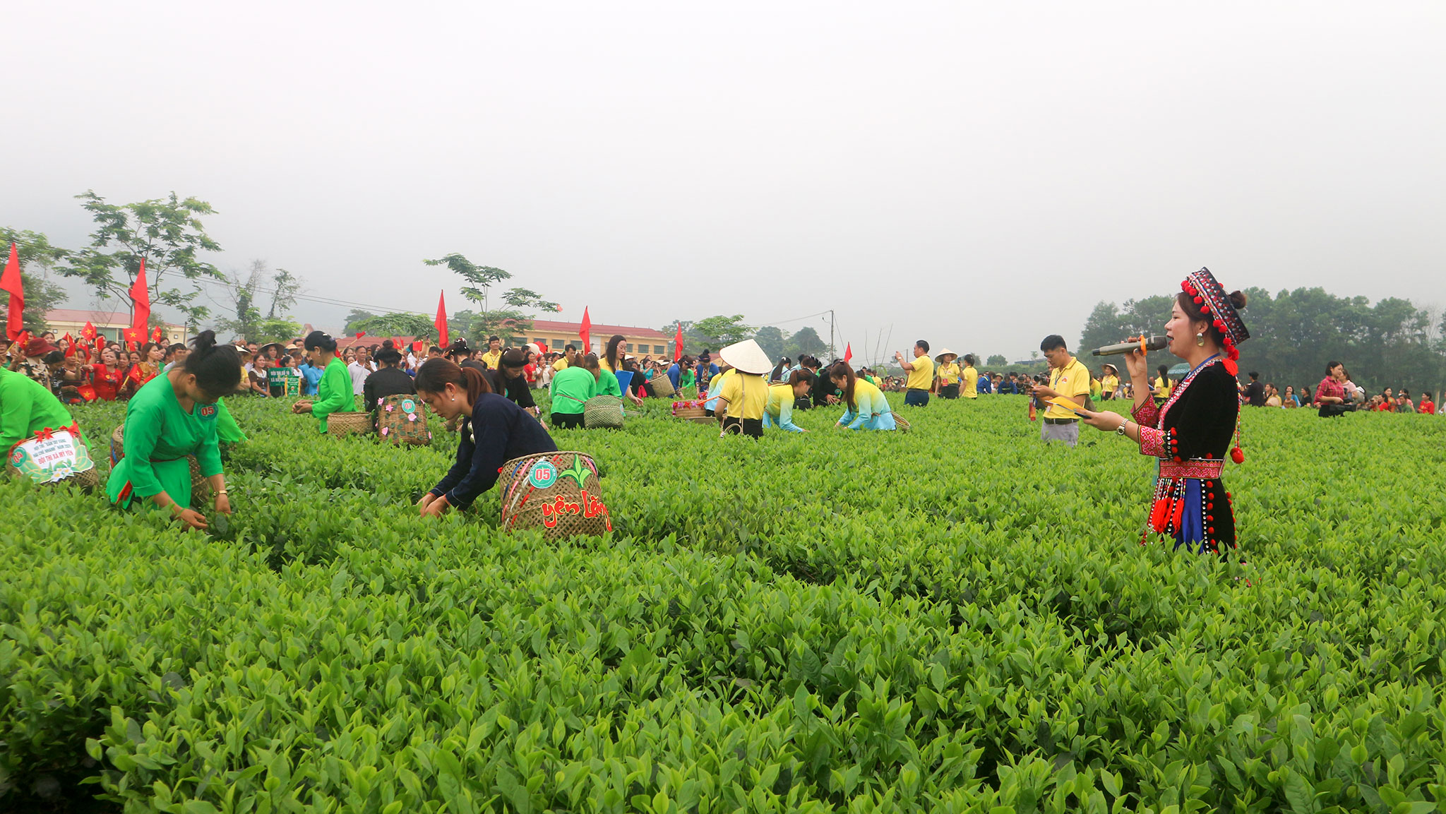 Ông Lê Quốc Doanh, Nguyên Thứ trưởng Bộ Nông nghiệp và PTNT, Chủ tịch Hội làm vườn Việt Nam thăm mô hình sản xuất chè theo tiêu chuẩn hữu cơ tại tỉnh Thái Nguyên